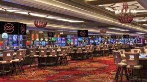 Star Vegas International Resort and Casino cá cược đỉnh cao