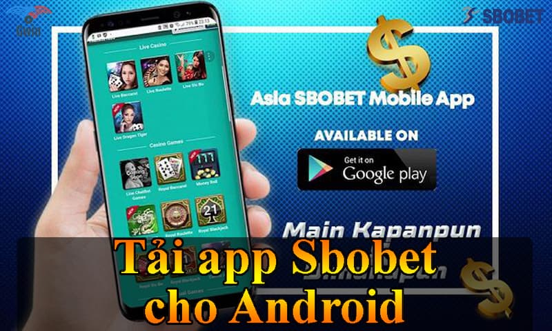 Tải ứng dụng Sbobet trên Android